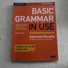 Basic Grammar in Use Fourth Edition