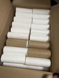 Item thumbnail for item fb3d2b6b-cc08-44d4-8f44-c76bd53902ca