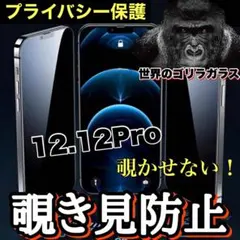 プライバシー保護【iPhone 12.12Pro】覗き見防止強化ガラスフィルム