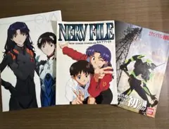 新世紀エヴァンゲリオン 関連冊子 3冊セット