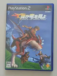 【美品、状態◎】我が竜を見よ PS2 ソフト