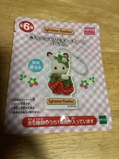 チャコールネコの赤ちゃん　アクリルキーチェーン　いちご　シルバニアファミリー