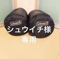 2025年最新】エクストリームウェザーマミースリーピングバッグの