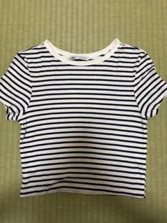 ZARA 白/紺 ストライプ 半袖Tシャツ EUR M