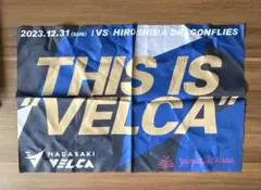 Item thumbnail for item 12171f28-4a5e-4420-aa8e-10217bc374fc