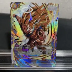 【美品】孫悟空 パラレル