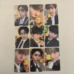 アヒル　ヨントン