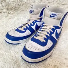 e-neko様　NIKE ナイキ ターミネーターハイ ゲームロイヤル 29cm