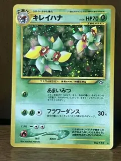 キレイハナ　旧裏 psa10 キラ　ホロ　極美品　希少 キレイハナ 旧裏 psa10 キラ ホロ 極美品 希少