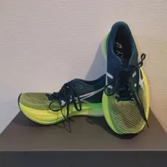 Item thumbnail for item 86c8d406-b08c-4f5b-bd2c-3b2619e988a3