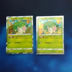 ポケモンカード シェイミ 2枚セット