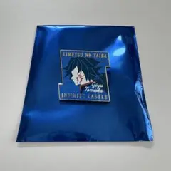 劇場版 鬼滅の刃 無限城編キャラクターモチーフピンズ第一弾　冨岡義勇