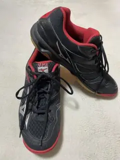 MIZUNO バレーボール シューズ サンダーブレード V1GA177086