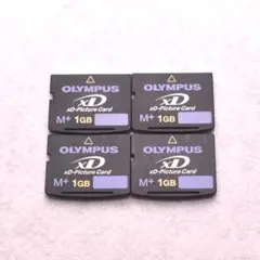 2026年最新】xDピクチャーカード 1GBの人気アイテム - メルカリ