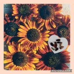 MCRL様 リクエスト 8点 まとめ商品