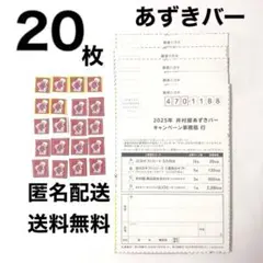 2025年最新】井村屋あずきバーキャンペーンの人気アイテム
