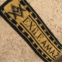 EXILE AMAZING WORLD マフラータオル