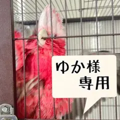 Item thumbnail for item 8e16764e-d55b-4924-b9fb-8bc1836045fa