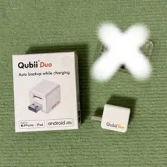 Qubii Duo 自動バックアップ
