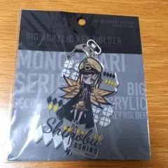 2025年最新】物語シリーズアクリルキーホルダーの人気アイテム - メルカリ