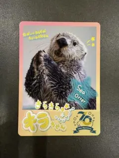 2025年最新】鳥羽水族館コレクションカードの人気アイテム