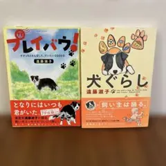 かふぇちゃん様専用4冊セット