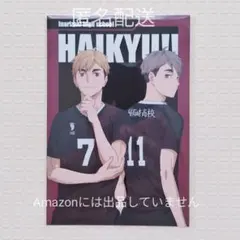 ハイキュー ハイキュープラザ 特典 ポストカード 共闘 宮侑 宮治