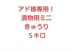 アド様専用！漬物用ミニきゅうり５キロ