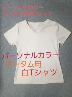 パーソナルカラーオータム用白TシャツL