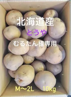 むるたん様専用 北海道産 とうや（M〜2Lサイズ込）10kg