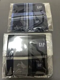 GAP メンズ ハンカチ 2枚セット チェック柄