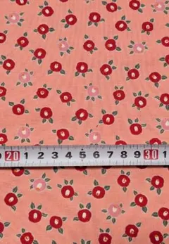 Item thumbnail for item 06052deb-bfc7-44a8-bd7a-ad1616226411