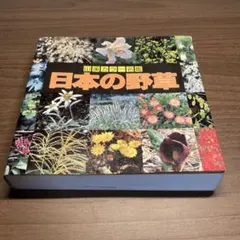 山渓カラー名鑑 8冊セット まとめ売り　レアセット レア 貴重 希少 列島 野鳥 日本の野鳥 (山渓カラー名鑑) | 高野 伸二 |本 | 通販 | Amazon
