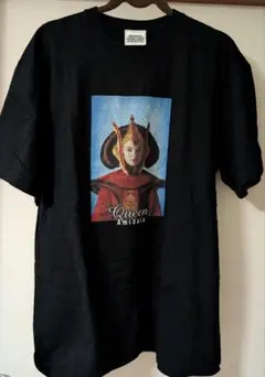 JOURNAL STANDARD STAR WARS PRINT アミダラ L