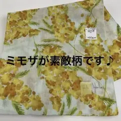 Item thumbnail for item cf9f983b-c567-4d30-bac7-06f32d5f18e4