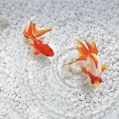 【ひびおと様専用】