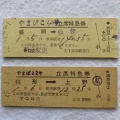 硬券切符 特急券みずほ/はやぶさ【立席特急券2枚セット】 - メルカリ