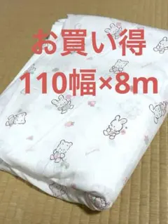 Item thumbnail for item 7fe655d3-1aa6-4e73-8d1f-06eb98aa1a6c