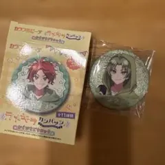 カラフルピーチ　からぴちピクニック　缶バッジ　シヴァさん　新品未開封