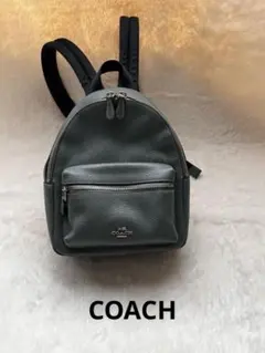 【訳あり】COACHコーチミニリュック バックパックレザー シボ革 レディースのサムネイル
