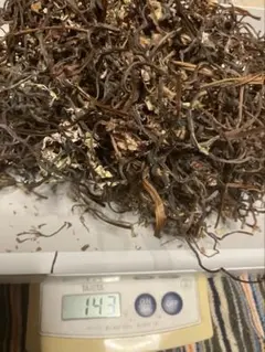 Item thumbnail for item 626023c3-a762-4f31-a173-25b2fcc22586