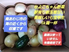 かよこちゃん野菜　安心して食べれる訳有り新玉ねぎ甘くて美味しい七宝早生5k箱一杯のサムネイル