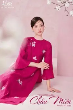 ベトナムアオザイセット/491