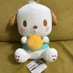 2026年最新】ポチャッコ ぬいぐるみ bigの人気アイテム - メルカリ