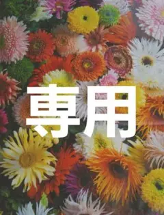 アン様専用2点おまとめお取り置き 他の方は購入をお控え下さい