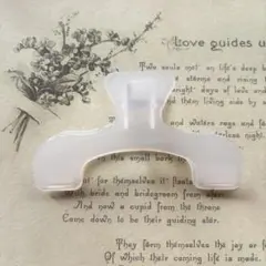 Item thumbnail for item 5072cdcb-48ac-4ebc-9431-36ad6bb67705