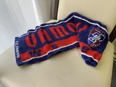 FC東京 応援タオル