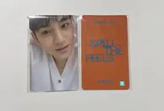 SEVENTEEN SPILL THE FEELS WITHMUU ミンギュ