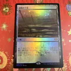 2026年最新】湿地の干潟 foilの人気アイテム - メルカリ