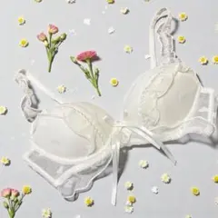 【大人可愛い】ハートメッシュ＆フリルレース ブラジャー ホワイト XL